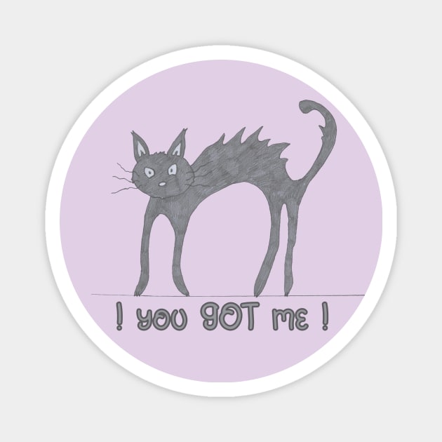 you-GOT-me-CAT Magnet by baaldips